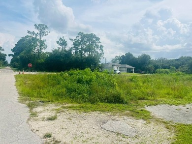 Lehigh Acres Area Lot For Sale in Lehigh Acres Florida