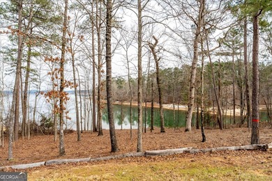 OWNER FINANCING AVAILABLE!! Some properties are about building a - photo 10