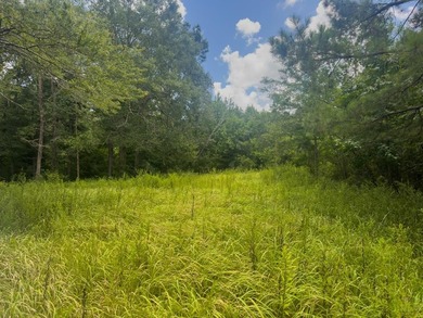 Pearl River Acreage For Sale in Poplarville Mississippi