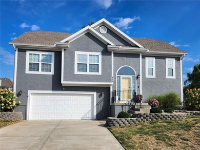 (private lake, pond, creek) Home For Sale in Smithville Missouri