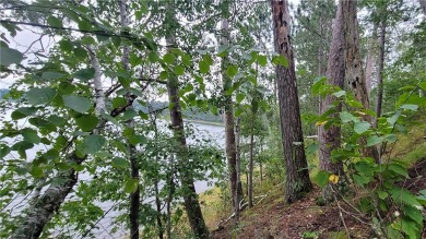 Sims Lake Lot For Sale in Gordon Wisconsin