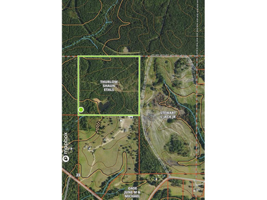 Enjoy the outdoors on this 40-acre tract in Poplarville that's - photo 2