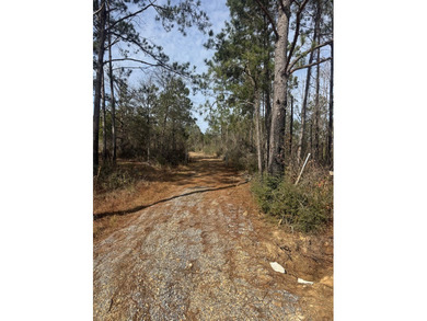 Enjoy the outdoors on this 40-acre tract in Poplarville that's - photo 3