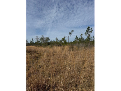 Enjoy the outdoors on this 40-acre tract in Poplarville that's - photo 4