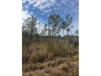 Enjoy the outdoors on this 40-acre tract in Poplarville that's - photo 5