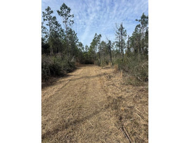 Enjoy the outdoors on this 40-acre tract in Poplarville that's - photo 6