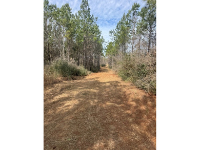 Enjoy the outdoors on this 40-acre tract in Poplarville that's - photo 7