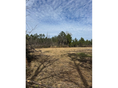 Enjoy the outdoors on this 40-acre tract in Poplarville that's - photo 10