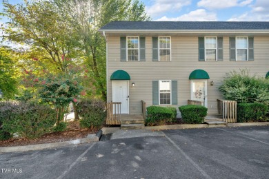 Lake Condo Sale Pending in Johnson City, Tennessee