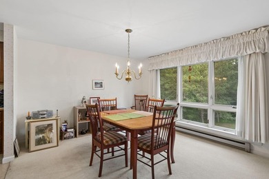 Bright, sun-filled second floor condo in Manchester, ME - 1,800 - photo 20