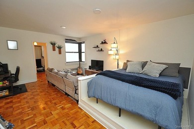 Only 10% down for this Stunning Renovated Co-op Studio Close to - photo 6