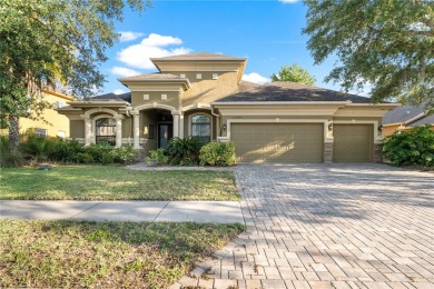 Lake Home For Sale in Odessa, Florida