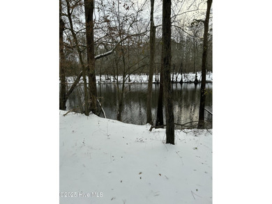 (private lake, pond, creek) Lot For Sale in Burgaw North Carolina
