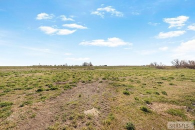 * SELLER FINANCING IS AVAILABLE * Premier Corner Lot in - photo 10
