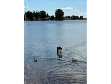 Ready for Lake Life? This Move in Ready Home is a Must-See! - photo 36