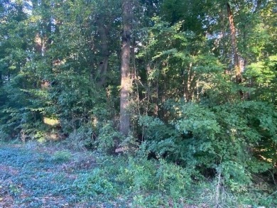 Lake Lot Sale Pending in Troutman, North Carolina