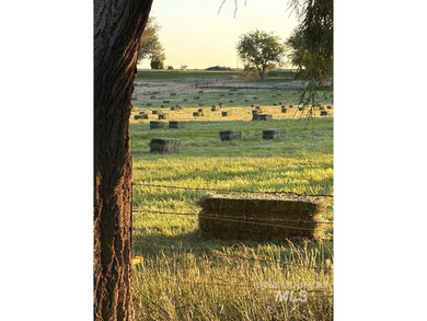 This property is approved by Ada County P&Z for 5 acre lots - photo 20