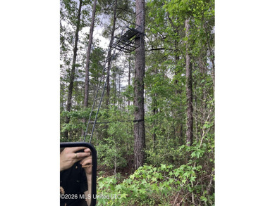 What a great get-away! Off Grid recreational property with a - photo 36