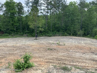 What a great get-away! Off Grid recreational property with a - photo 41