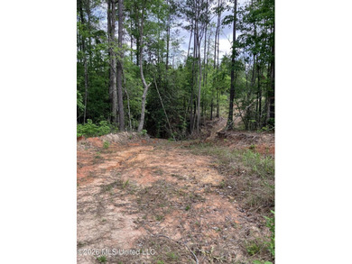 What a great get-away! Off Grid recreational property with a - photo 42