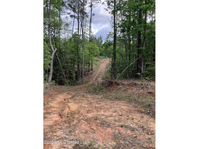 What a great get-away! Off Grid recreational property with a - photo 43