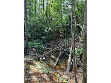 What a great get-away! Off Grid recreational property with a - photo 45