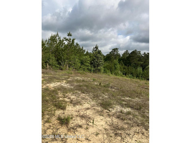 What a great get-away! Off Grid recreational property with a - photo 47