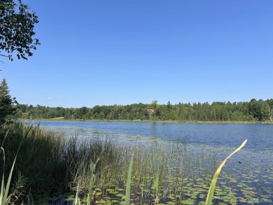 Lake Lot For Sale in Vulcan, Michigan