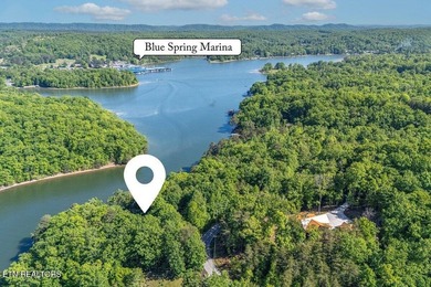 GORGEOUS 206 FEET OF LAKE FRONTAGE ON WATTS BAR LAKE, This is a - photo 11