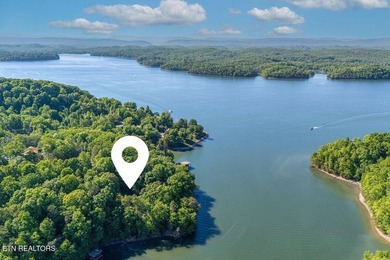 GORGEOUS 206 FEET OF LAKE FRONTAGE ON WATTS BAR LAKE, This is a - photo 16