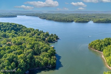 GORGEOUS 206 FEET OF LAKE FRONTAGE ON WATTS BAR LAKE, This is a - photo 17