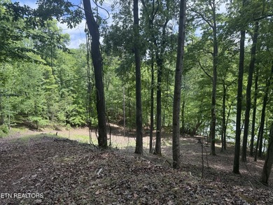 GORGEOUS 206 FEET OF LAKE FRONTAGE ON WATTS BAR LAKE, This is a - photo 20