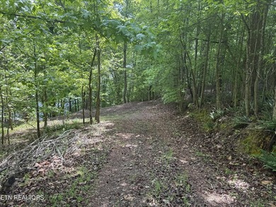 GORGEOUS 206 FEET OF LAKE FRONTAGE ON WATTS BAR LAKE, This is a - photo 21