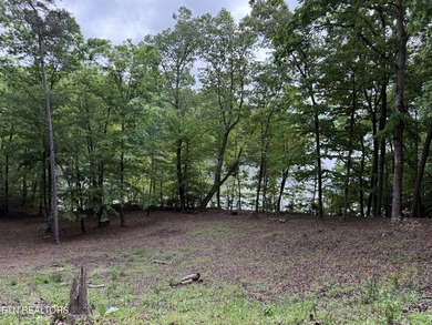 GORGEOUS 206 FEET OF LAKE FRONTAGE ON WATTS BAR LAKE, This is a - photo 22