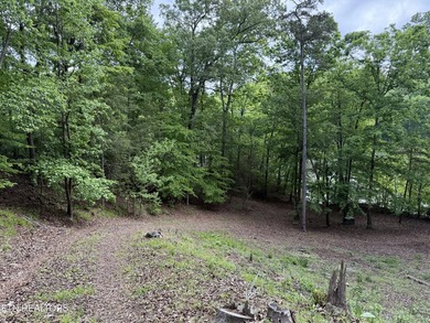 GORGEOUS 206 FEET OF LAKE FRONTAGE ON WATTS BAR LAKE, This is a - photo 23