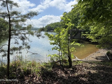 GORGEOUS 206 FEET OF LAKE FRONTAGE ON WATTS BAR LAKE, This is a - photo 25