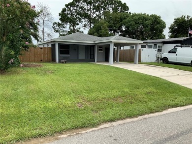 Lake Home Sale Pending in Umatilla, Florida