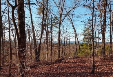 Lake Keowee Acreage For Sale in Pickens South Carolina