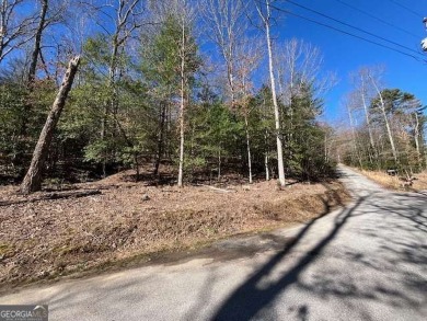 Lake Lot For Sale in Blairsville, Georgia