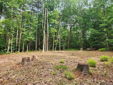 Welcome to one of the few remaining buildable lots with lake - photo 1