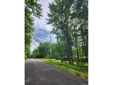 Welcome to one of the few remaining buildable lots with lake - photo 2