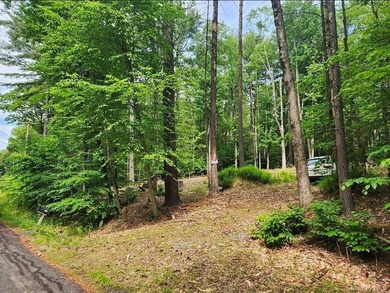 Welcome to one of the few remaining buildable lots with lake - photo 7