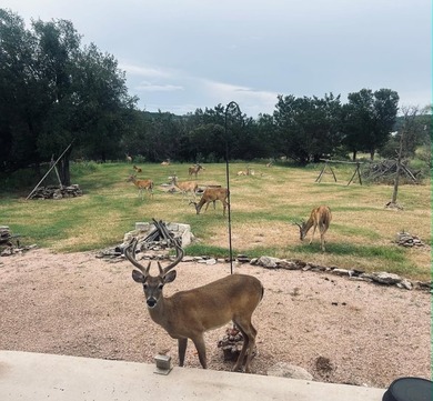 Relax under the starry skies and enjoy abundant wildlife at this - photo 36
