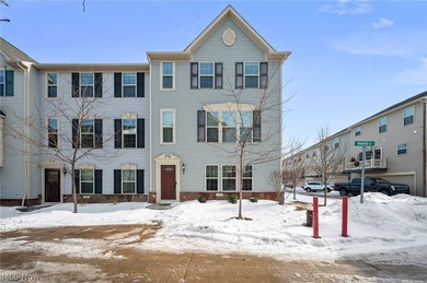 Lake Erie - Cuyahoga County Townhome/Townhouse For Sale in Lakewood Ohio