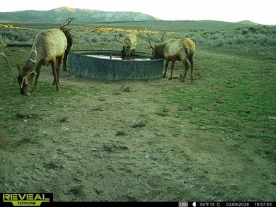 3D Mountain Ranch offers a rare four-season legacy property in - photo 3