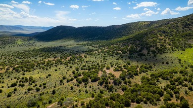 3D Mountain Ranch offers a rare four-season legacy property in - photo 4
