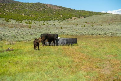 3D Mountain Ranch offers a rare four-season legacy property in - photo 5