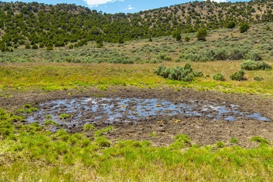 3D Mountain Ranch offers a rare four-season legacy property in - photo 6