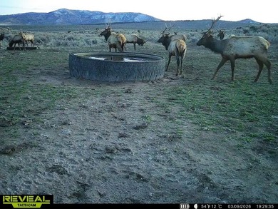 3D Mountain Ranch offers a rare four-season legacy property in - photo 7