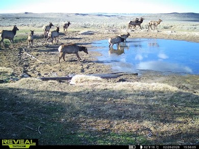 3D Mountain Ranch offers a rare four-season legacy property in - photo 8